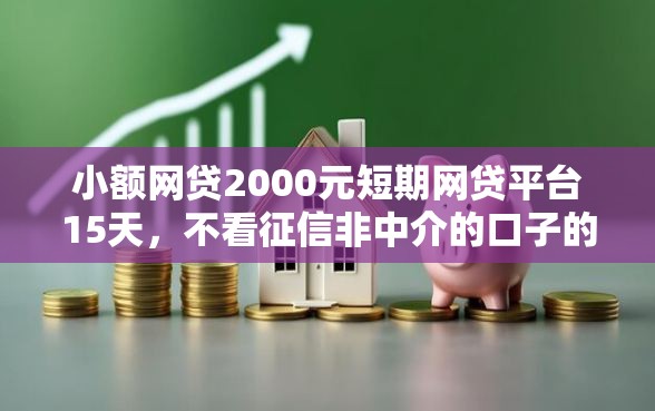 小额网贷2000元短期网贷平台15天，不看征信非中介的口子的7个平台介绍