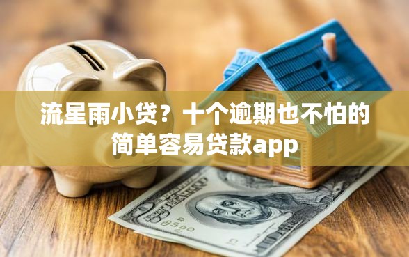 流星雨小贷？十个逾期也不怕的简单容易贷款app