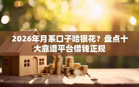 2026年月系口子哈银花？盘点十大靠谱平台借钱正规