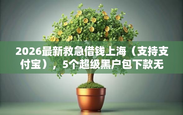 2026最新救急借钱上海（支持支付宝），5个超级黑户包下款无私分享