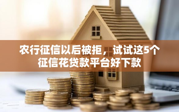 农行征信以后被拒，试试这5个征信花贷款平台好下款