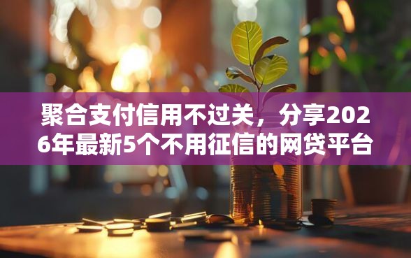 聚合支付信用不过关，分享2026年最新5个不用征信的网贷平台