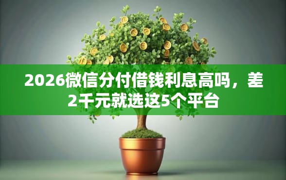 2026微信分付借钱利息高吗，差2千元就选这5个平台