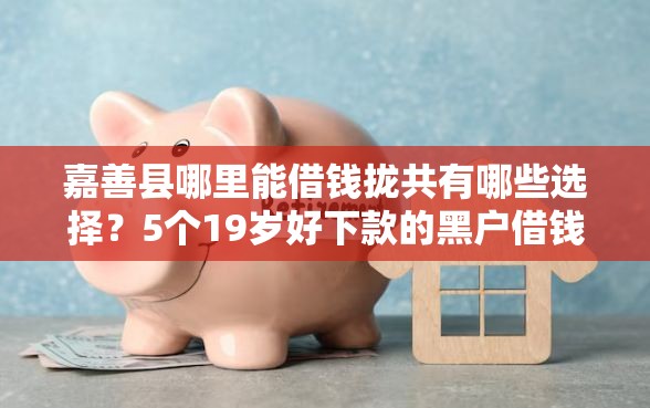 嘉善县哪里能借钱拢共有哪些选择？5个19岁好下款的黑户借钱平台详解