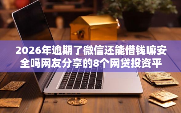 2026年逾期了微信还能借钱嘛安全吗网友分享的8个网贷投资平台我觉得不错！