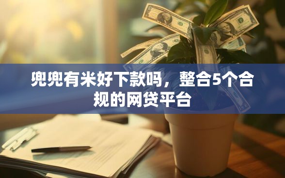 兜兜有米好下款吗，整合5个合规的网贷平台