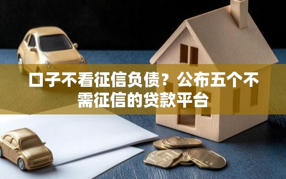 口子不看征信负债？公布五个不需征信的贷款平台