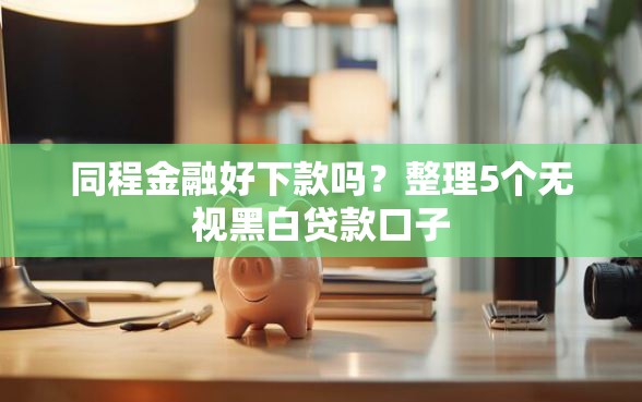 同程金融好下款吗？整理5个无视黑白贷款口子