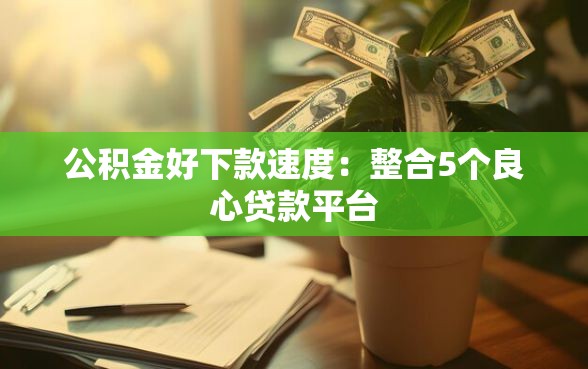 公积金好下款速度：整合5个良心贷款平台
