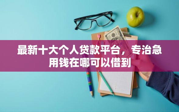 最新十大个人贷款平台，专治急用钱在哪可以借到