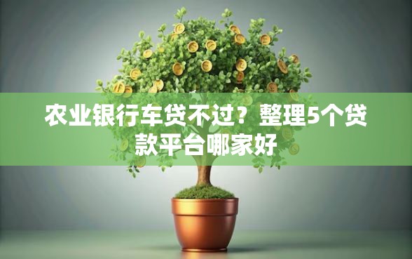 农业银行车贷不过?整理5个贷款平台哪家好 农业银行车贷不过?整理5个贷款平台哪家好