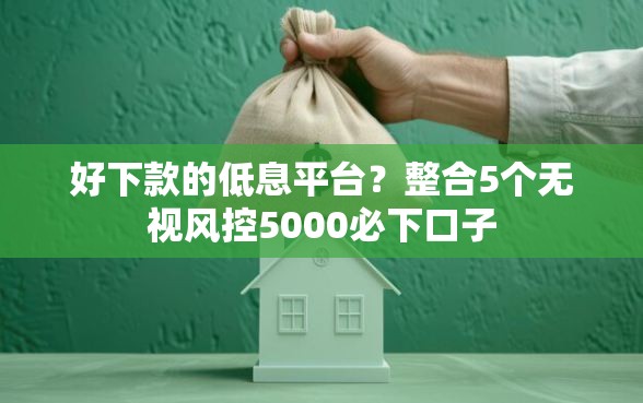 好下款的低息平台？整合5个无视风控5000必下口子
