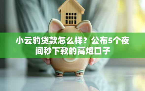 小云豹贷款怎么样？公布5个夜间秒下款的高炮口子
