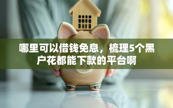 哪里可以借钱免息，梳理5个黑户花都能下款的平台啊