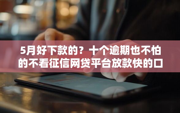 5月好下款的？十个逾期也不怕的不看征信网贷平台放款快的口子