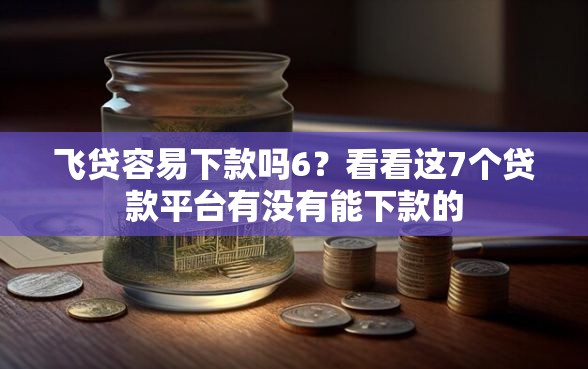 飞贷容易下款吗6？看看这7个贷款平台有没有能下款的