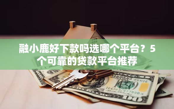 融小鹿好下款吗选哪个平台？5个可靠的贷款平台推荐