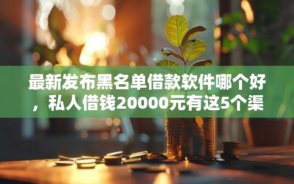 最新发布黑名单借款软件哪个好，私人借钱20000元有这5个渠道
