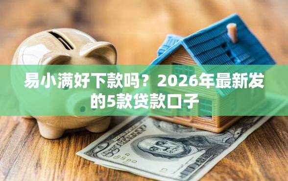 易小满好下款吗？2026年最新发的5款贷款口子