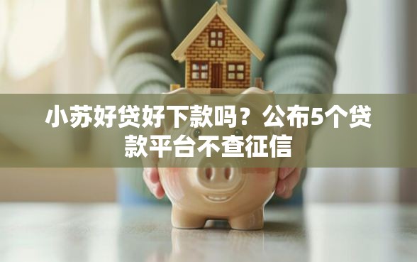 小苏好贷好下款吗？公布5个贷款平台不查征信
