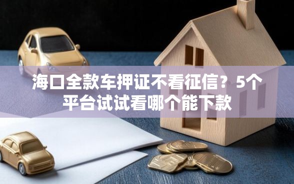 海口全款车押证不看征信？5个平台试试看哪个能下款