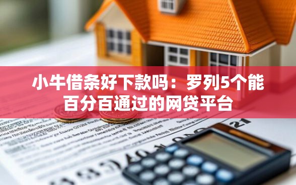 小牛借条好下款吗：罗列5个能百分百通过的网贷平台
