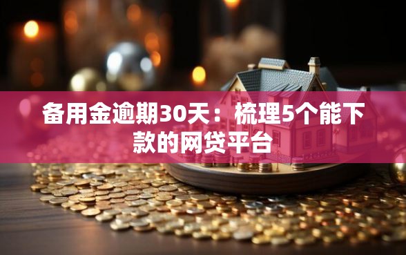 备用金逾期30天：梳理5个能下款的网贷平台