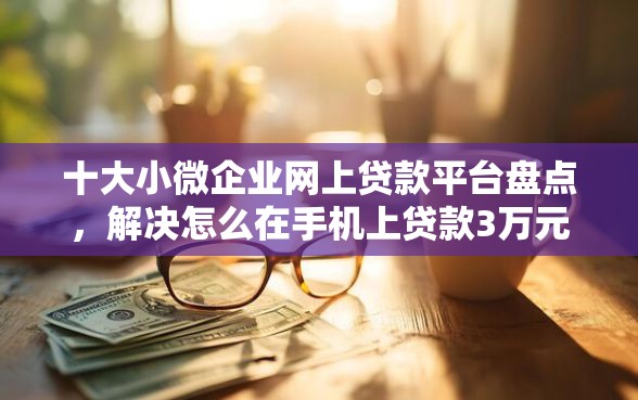 十大小微企业网上贷款平台盘点，解决怎么在手机上贷款3万元的问题