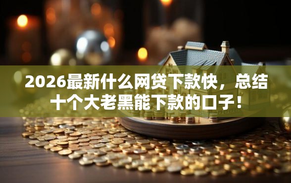 2026最新什么网贷下款快，总结十个大老黑能下款的口子！