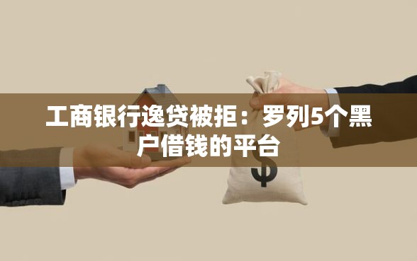 工商银行逸贷被拒：罗列5个黑户借钱的平台