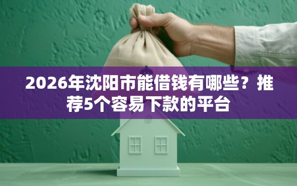 2026年沈阳市能借钱有哪些？推荐5个容易下款的平台