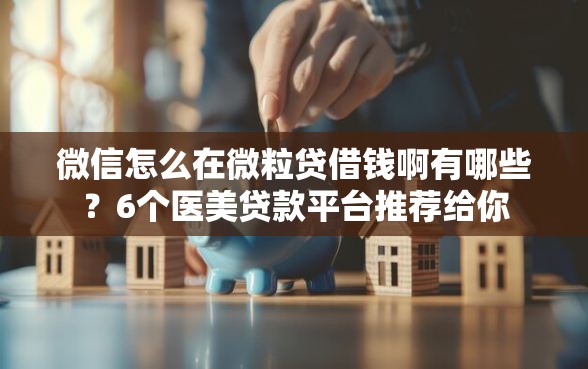 微信怎么在微粒贷借钱啊有哪些？6个医美贷款平台推荐给你