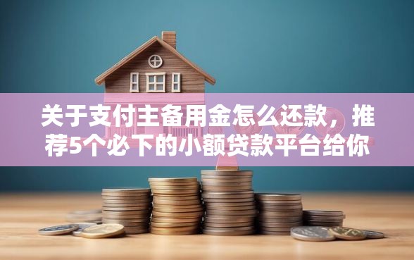 关于支付主备用金怎么还款，推荐5个必下的小额贷款平台给你