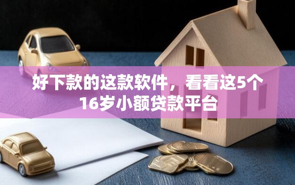 好下款的这款软件，看看这5个16岁小额贷款平台