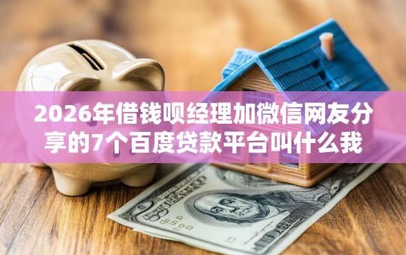 2026年借钱呗经理加微信网友分享的7个百度贷款平台叫什么我觉得不错！
