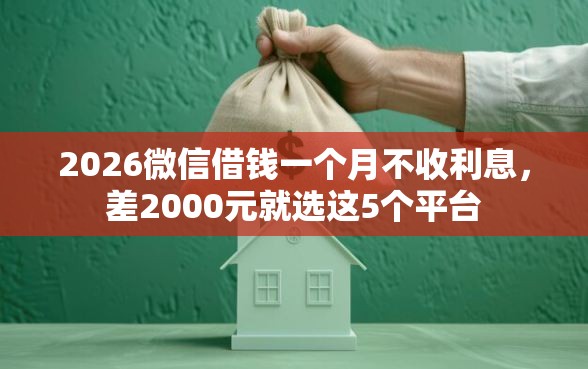 2026微信借钱一个月不收利息，差2000元就选这5个平台