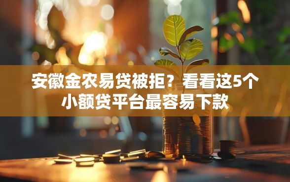安徽金农易贷被拒？看看这5个小额贷平台最容易下款