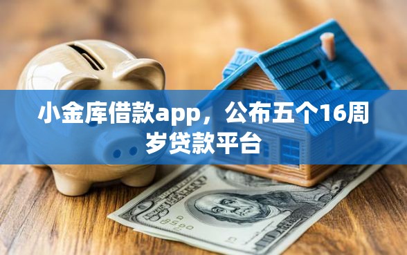 小金库借款app，公布五个16周岁贷款平台