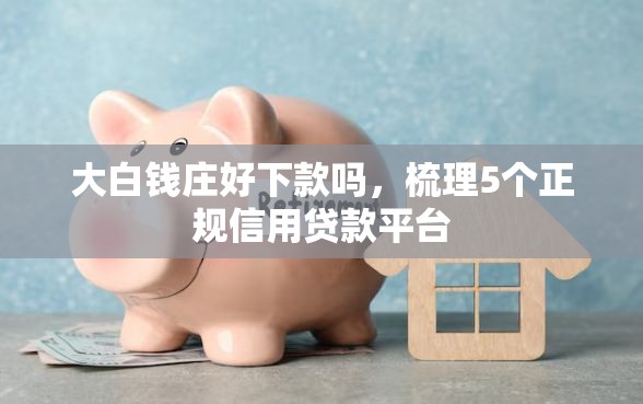 大白钱庄好下款吗，梳理5个正规信用贷款平台