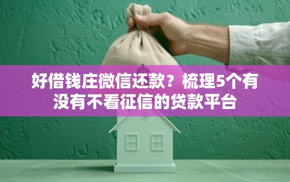 好借钱庄微信还款？梳理5个有没有不看征信的贷款平台