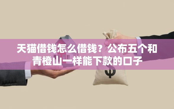 天猫借钱怎么借钱？公布五个和青橙山一样能下款的口子