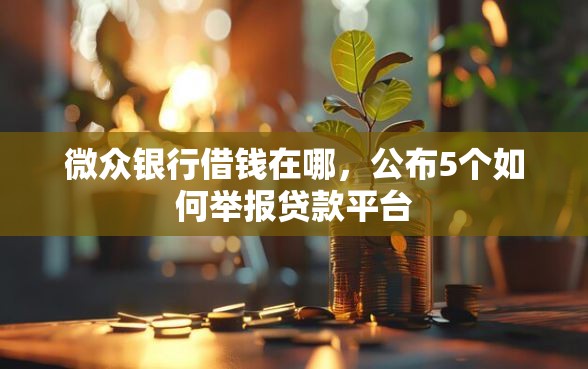 微众银行借钱在哪，公布5个如何举报贷款平台