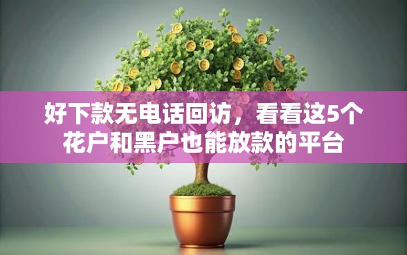 好下款无电话回访，看看这5个花户和黑户也能放款的平台