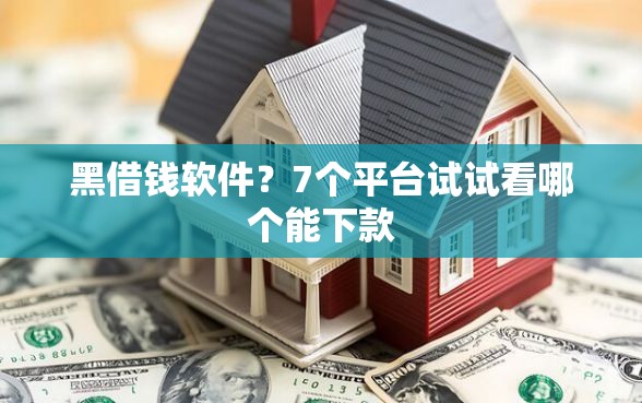 黑借钱软件？7个平台试试看哪个能下款