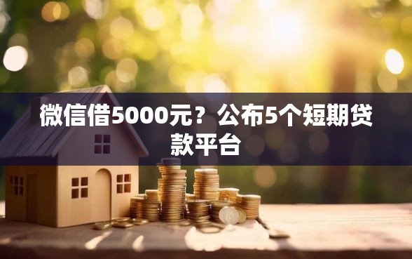 微信借5000元？公布5个短期贷款平台