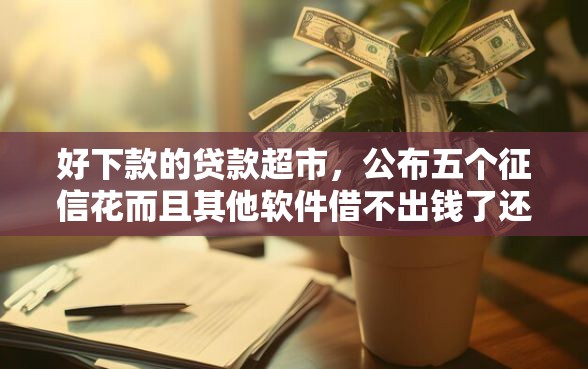 好下款的贷款超市，公布五个征信花而且其他软件借不出钱了还可以借到钱100%通过的平台