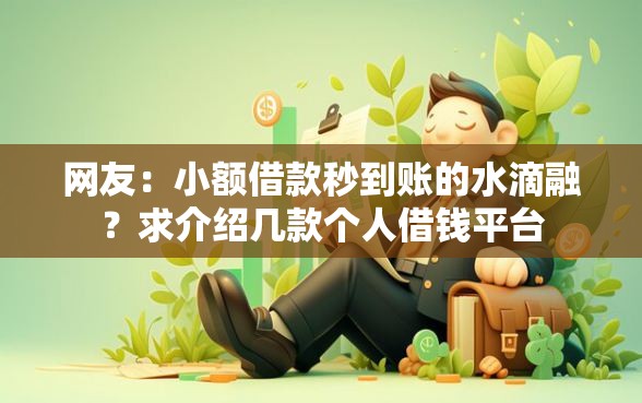 网友：小额借款秒到账的水滴融？求介绍几款个人借钱平台