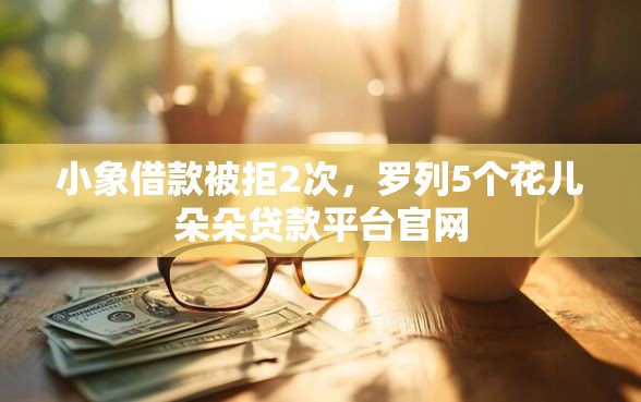 小象借款被拒2次，罗列5个花儿朵朵贷款平台官网