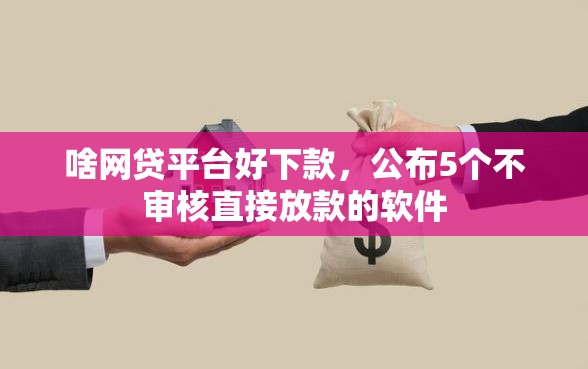 啥网贷平台好下款，公布5个不审核直接放款的软件