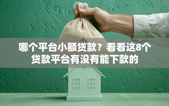 哪个平台小额贷款？看看这8个贷款平台有没有能下款的
